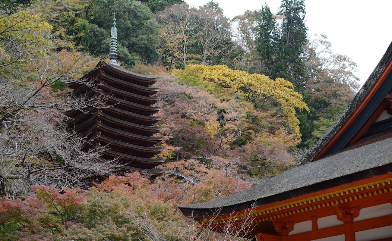 ⛩️ 단잔 신사(단잔진자) 이미지 8